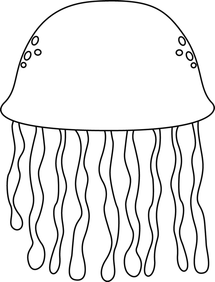 _Black_and_White_Jellyfish